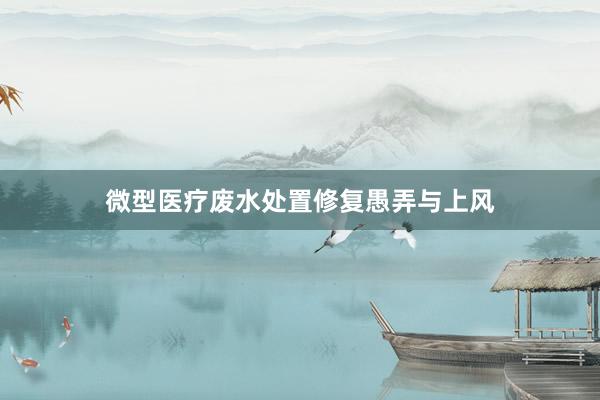 微型医疗废水处置修复愚弄与上风