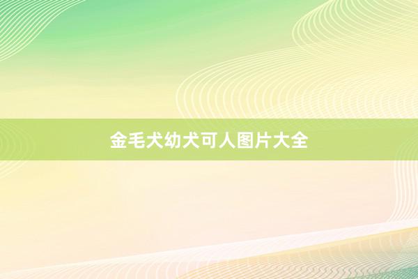 金毛犬幼犬可人图片大全