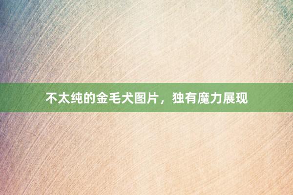 不太纯的金毛犬图片，独有魔力展现
