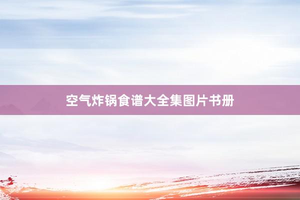 空气炸锅食谱大全集图片书册