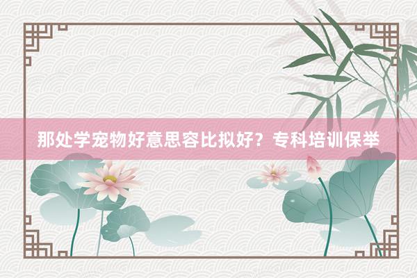 那处学宠物好意思容比拟好?专科培训保举